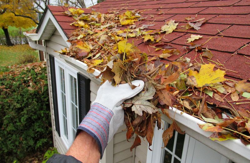 Roof Gutter Cleaning in Longmont, CO
