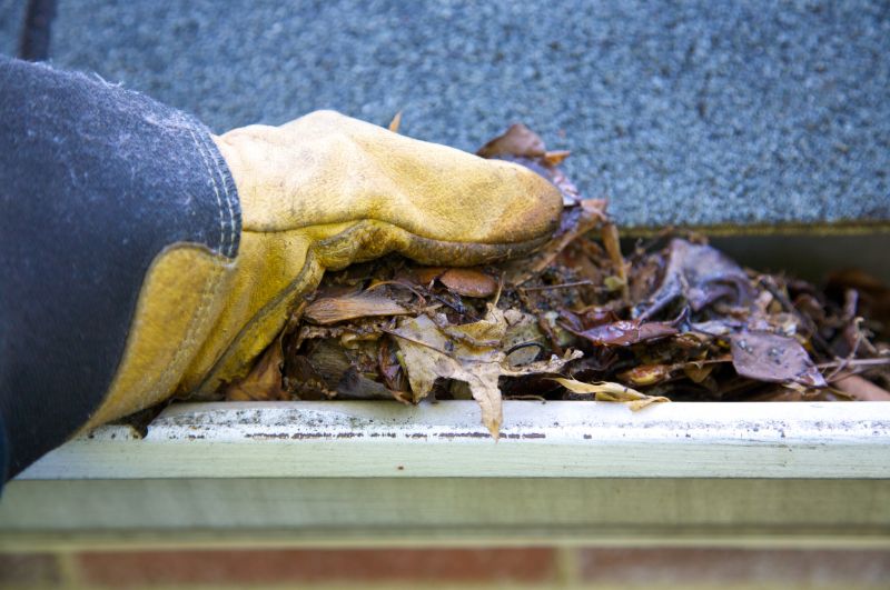 Clogged Gutter Clearing in Annapolis, MD