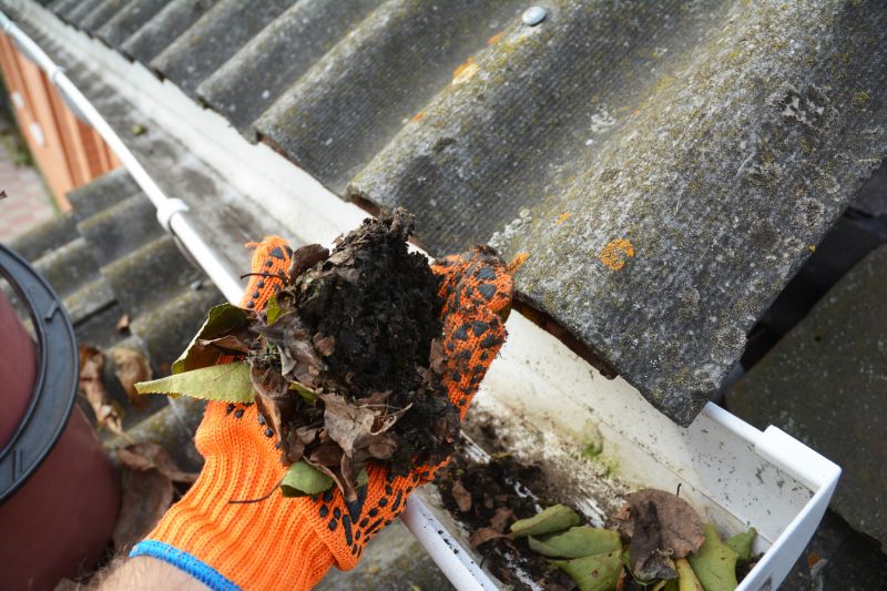 Clogged Gutter Clearing in Arvada, CO