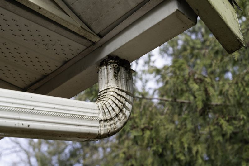 Downspout Blockage Removal in Longmont, CO