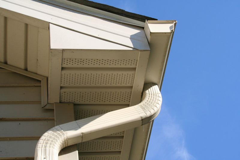 Downspout Cleaning in Longmont, CO
