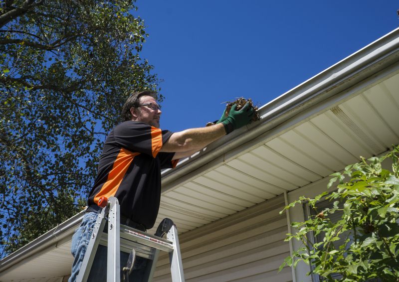 Eavestrough Clearing in Frederick, MD