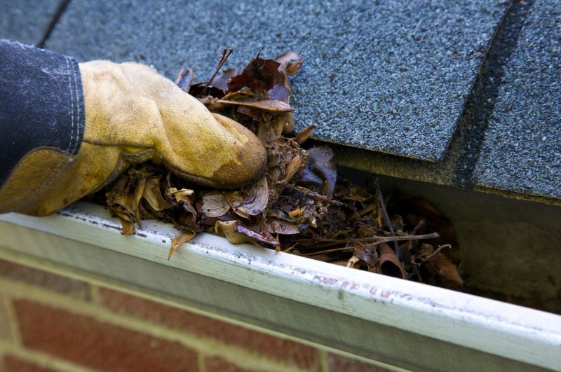 Gutter Blockage Removal in Longmont, CO
