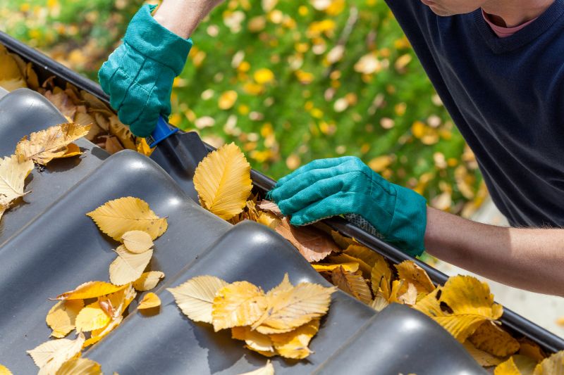 Gutter Leaf Clearing in Bergen County, NJ