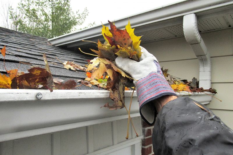 Gutter Leaf Clearing in Annapolis, MD