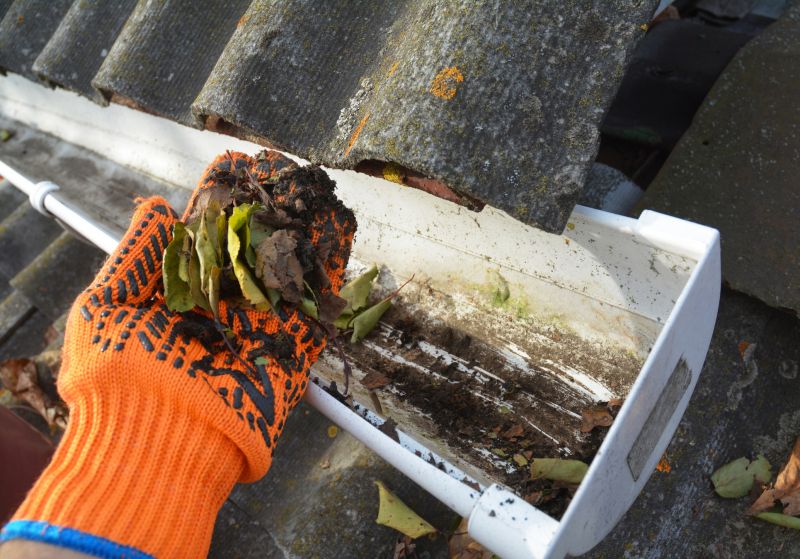 Gutter Leaf Clearing in Boulder, CO