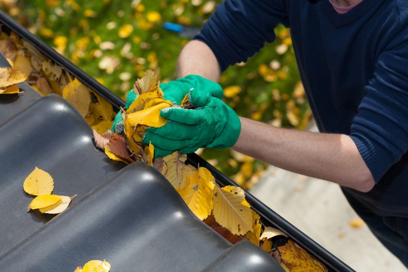 Gutter Leaves Removal in Rochester, NY