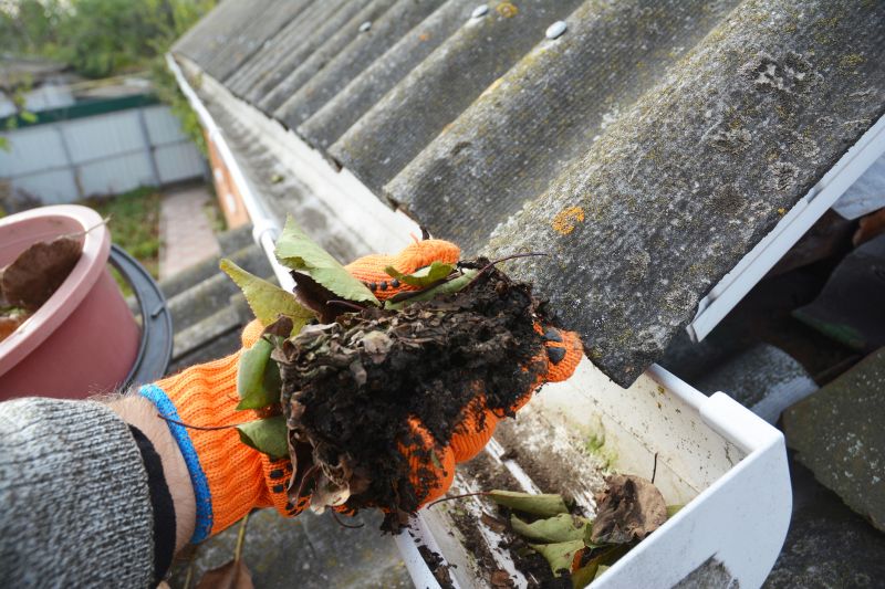 Gutter Leaves Removal in Frederick, MD