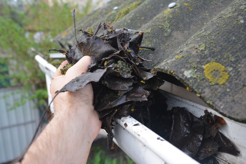 Rain Gutter Clearing in Morris County, NJ