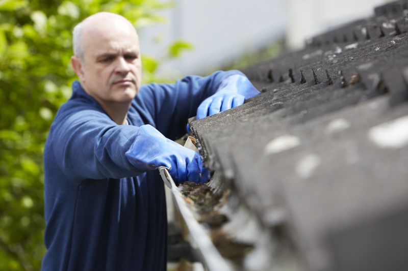 Roof Gutter Cleaning in Annapolis, MD